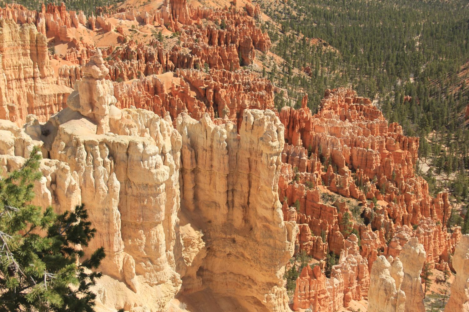 Bryce Point to Inspiration Point 